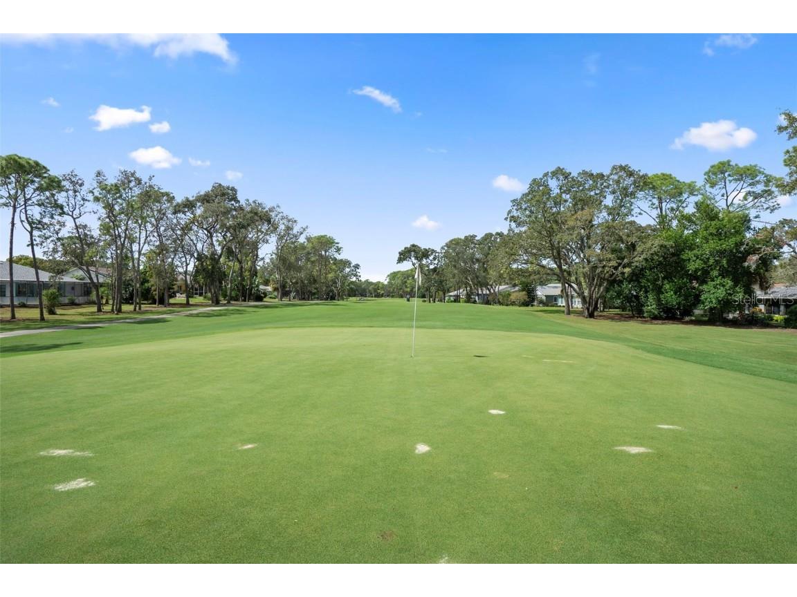 6421 Pine Meadows Drive Spring Hill FL 34606 W7879740 image36