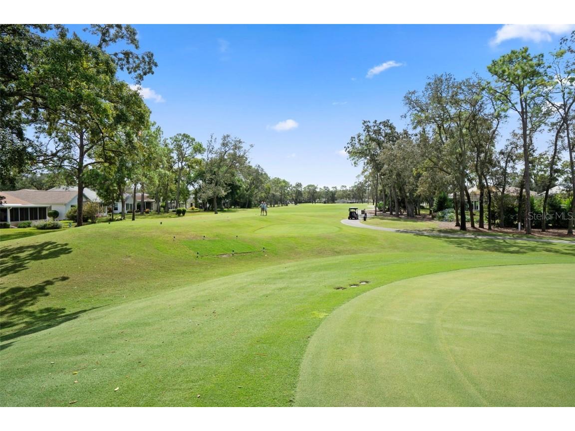 6421 Pine Meadows Drive Spring Hill FL 34606 W7879740 image37