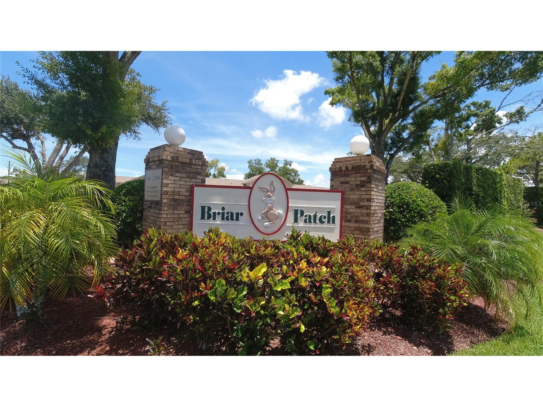 6421 Remus Drive New Port Richey FL 34653 OM705359 image2