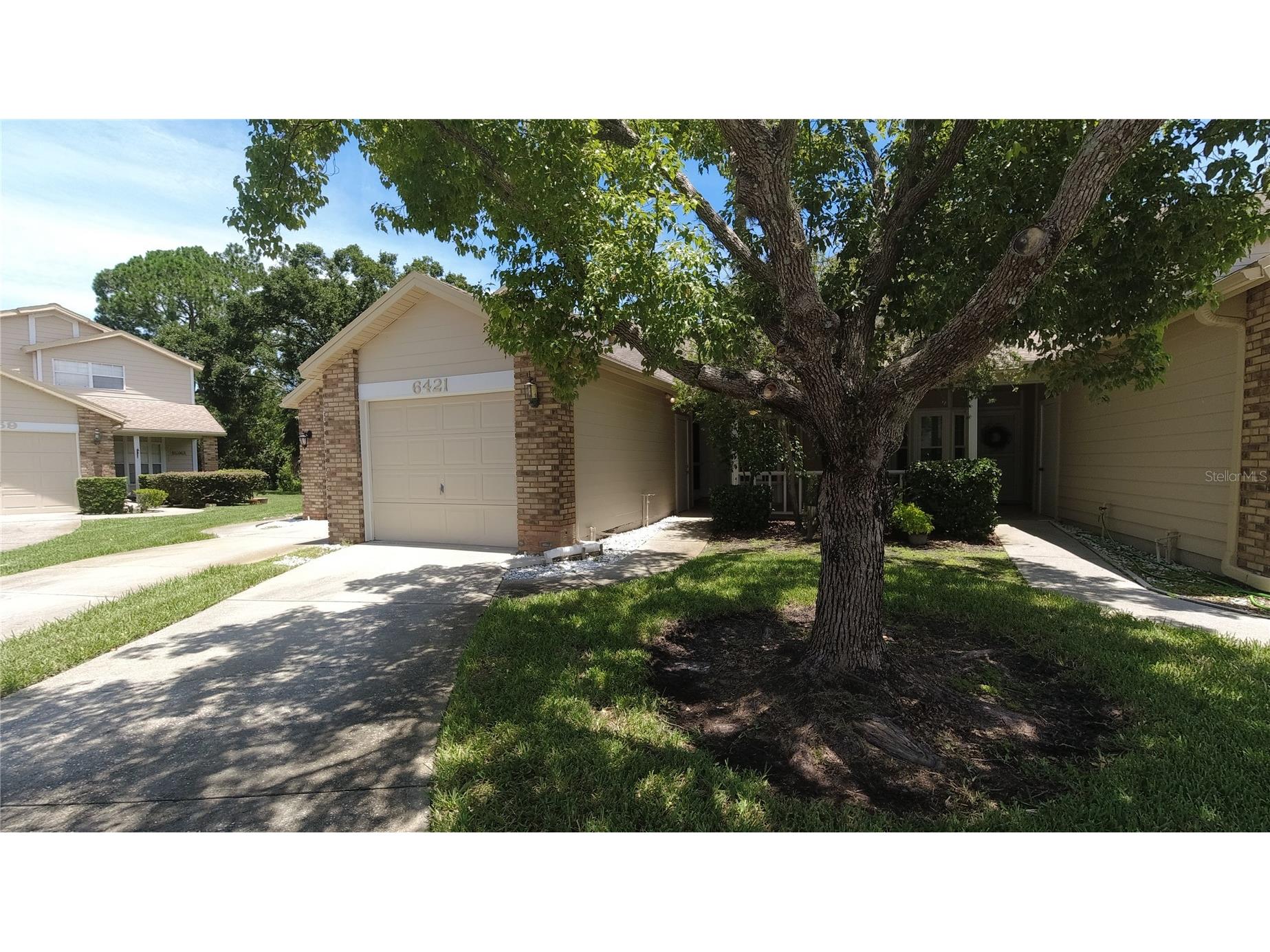 6421 Remus Drive New Port Richey FL 34653 OM705359 image22