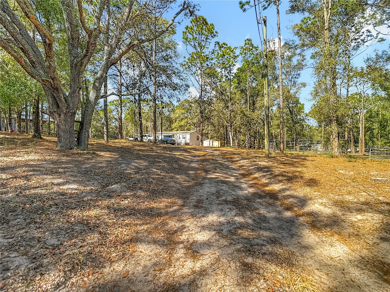 6421 Sunnyside Ranch Road Brooksville FL 34602 TB8465252 image43