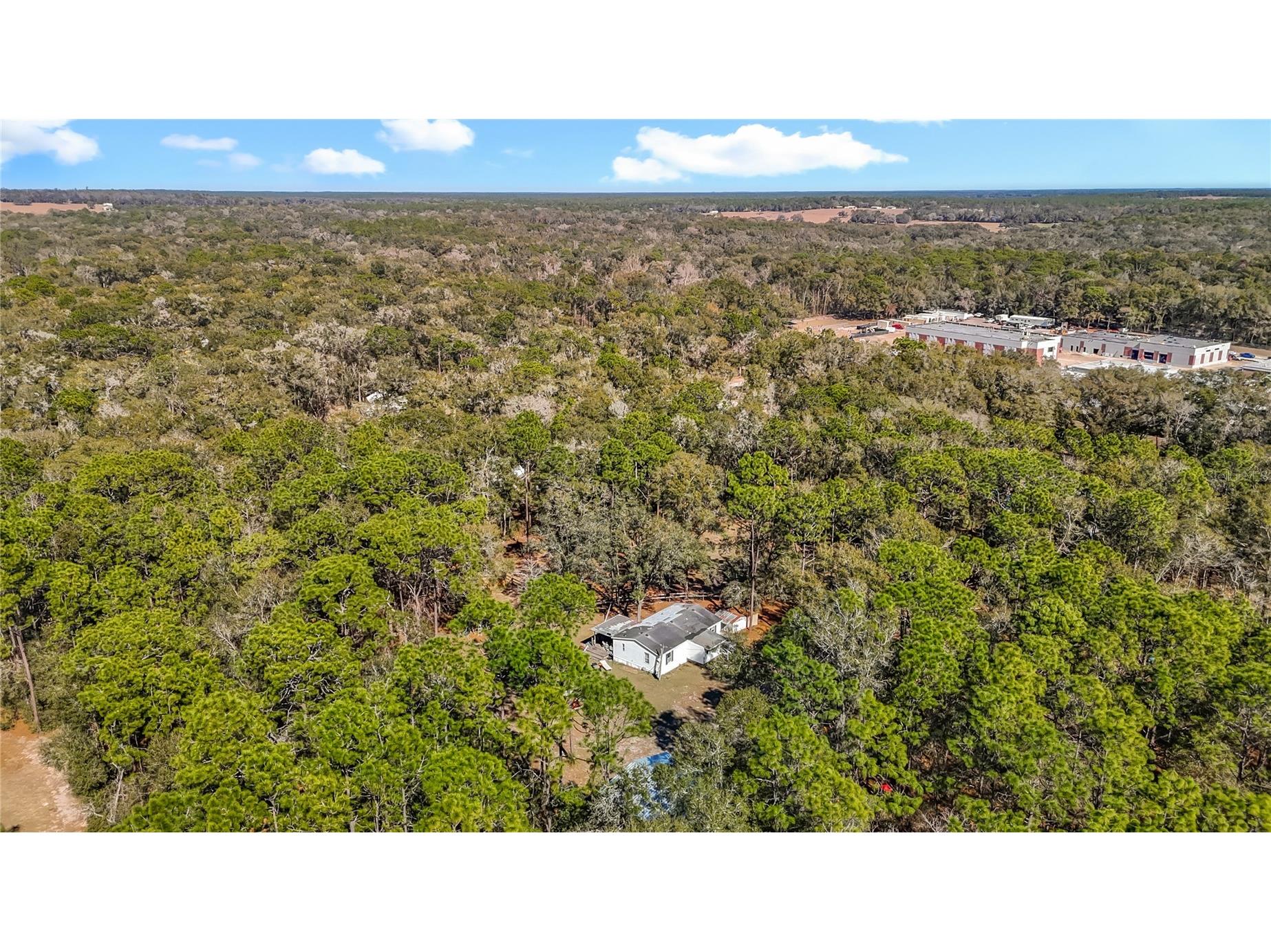 6421 Sunnyside Ranch Road Brooksville FL 34602 TB8465252 image44