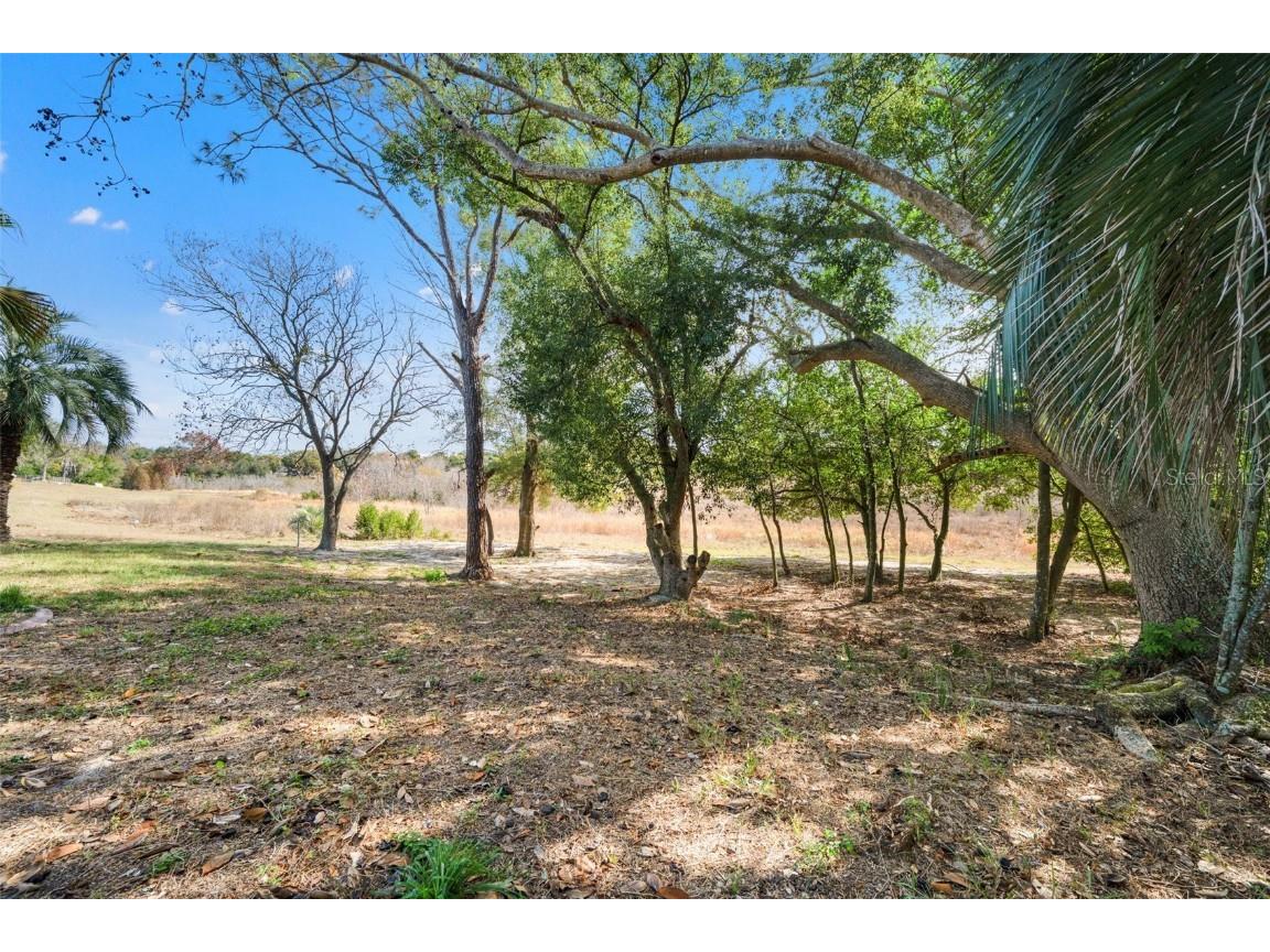 6422 Fairlawn Street Spring Hill FL 34606 OM716047 image42