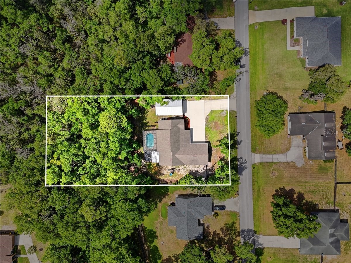 6422 Forestwood Drive W Lakeland FL 33811 P4938333 image49