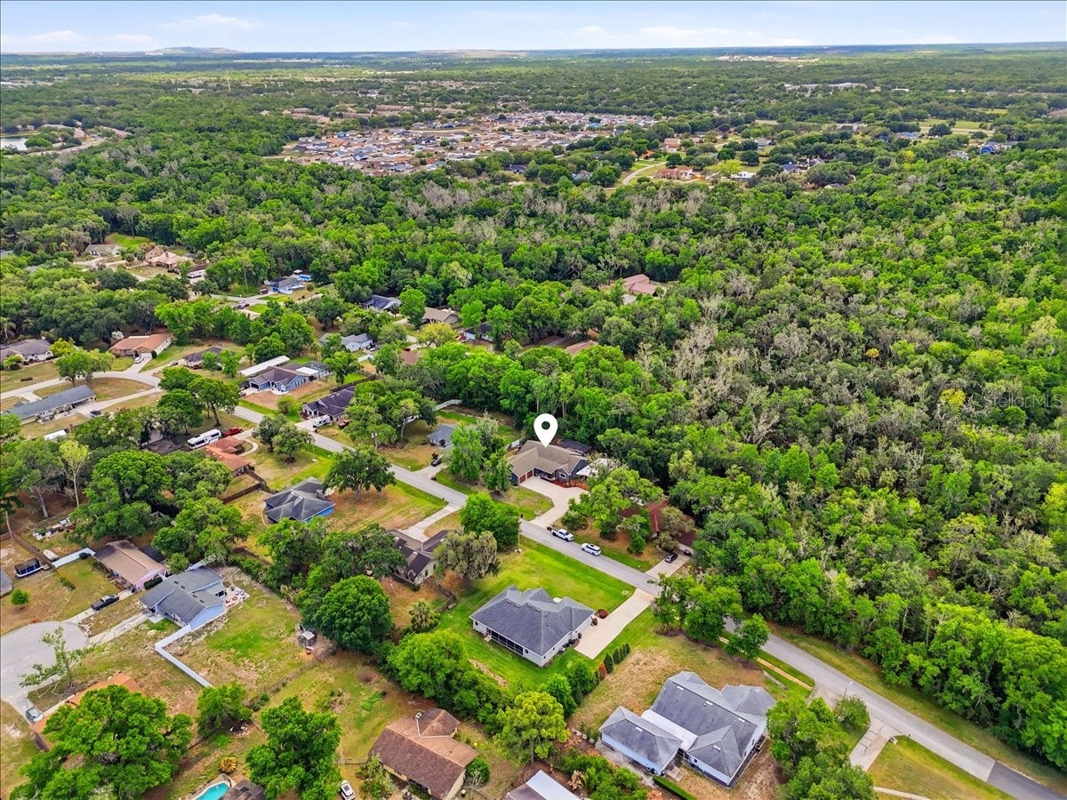6422 Forestwood Drive W Lakeland FL 33811 P4938333 image50