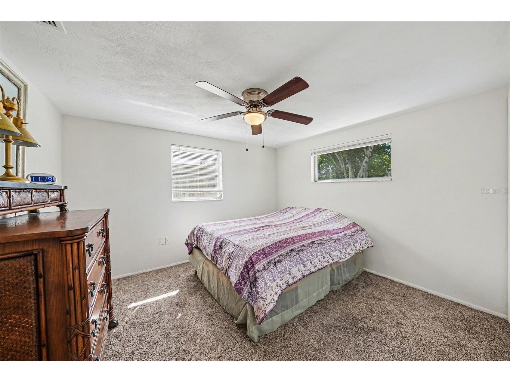 6422 Tralee Avenue New Port Richey FL 34653 TB8488213 image14