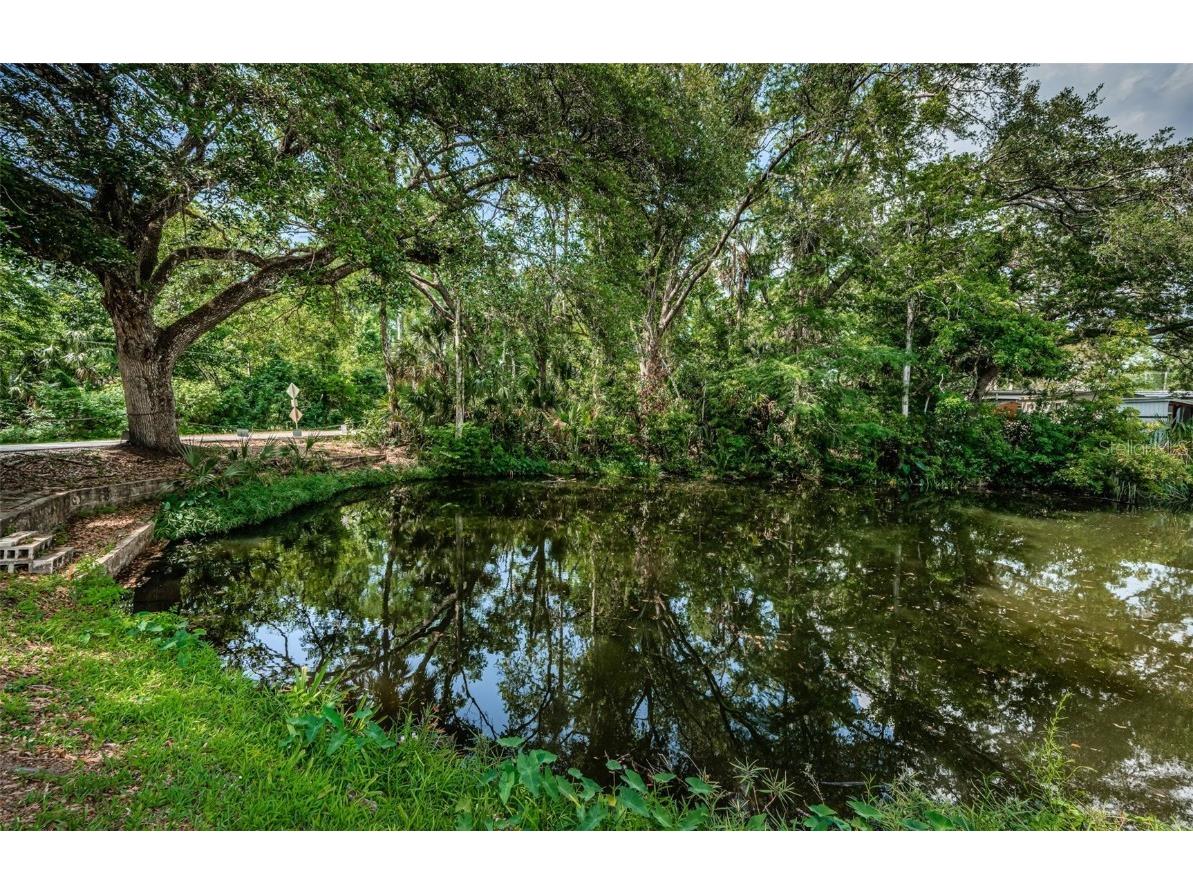 6423 Bass Road Weeki Wachee FL 34607 TB8379385 image30