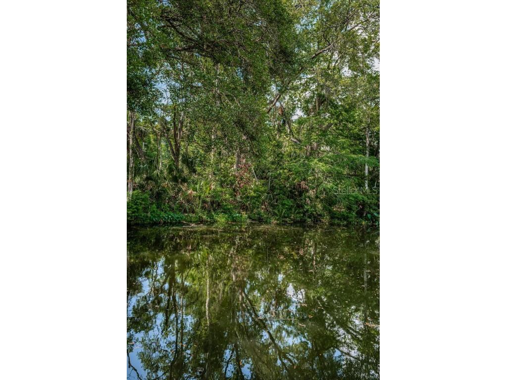 6423 Bass Road Weeki Wachee FL 34607 TB8379385 image31