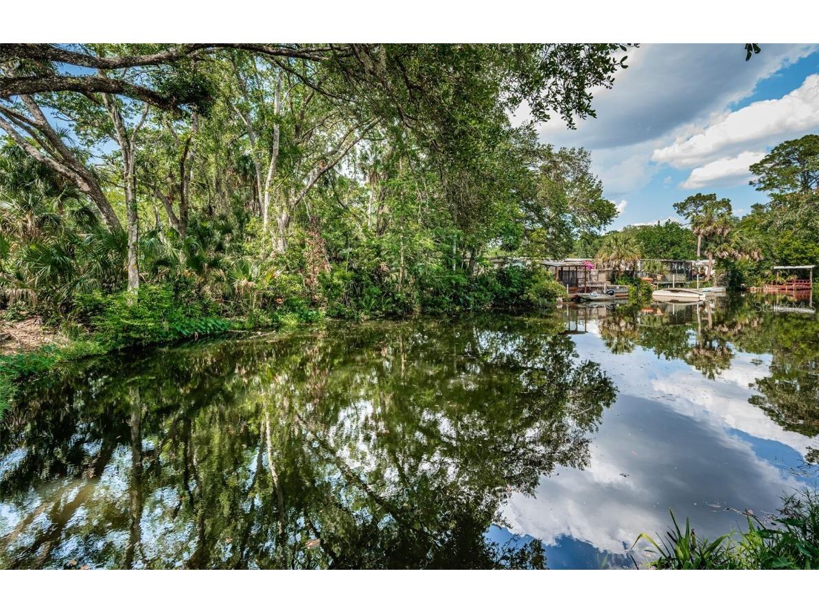 6423 Bass Road Weeki Wachee FL 34607 TB8379385 image32