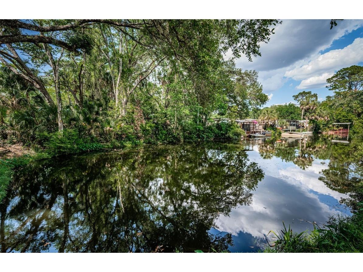 6423 Bass Road Weeki Wachee FL 34607 TB8379385 image33