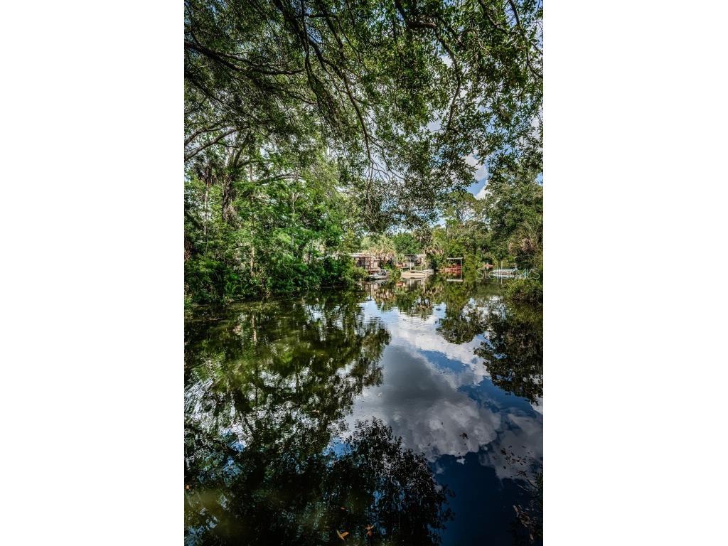 6423 Bass Road Weeki Wachee FL 34607 TB8379385 image34