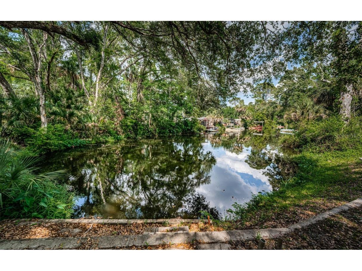 6423 Bass Road Weeki Wachee FL 34607 TB8379385 image35