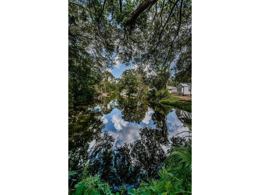 6423 Bass Road Weeki Wachee FL 34607 TB8379385 image36