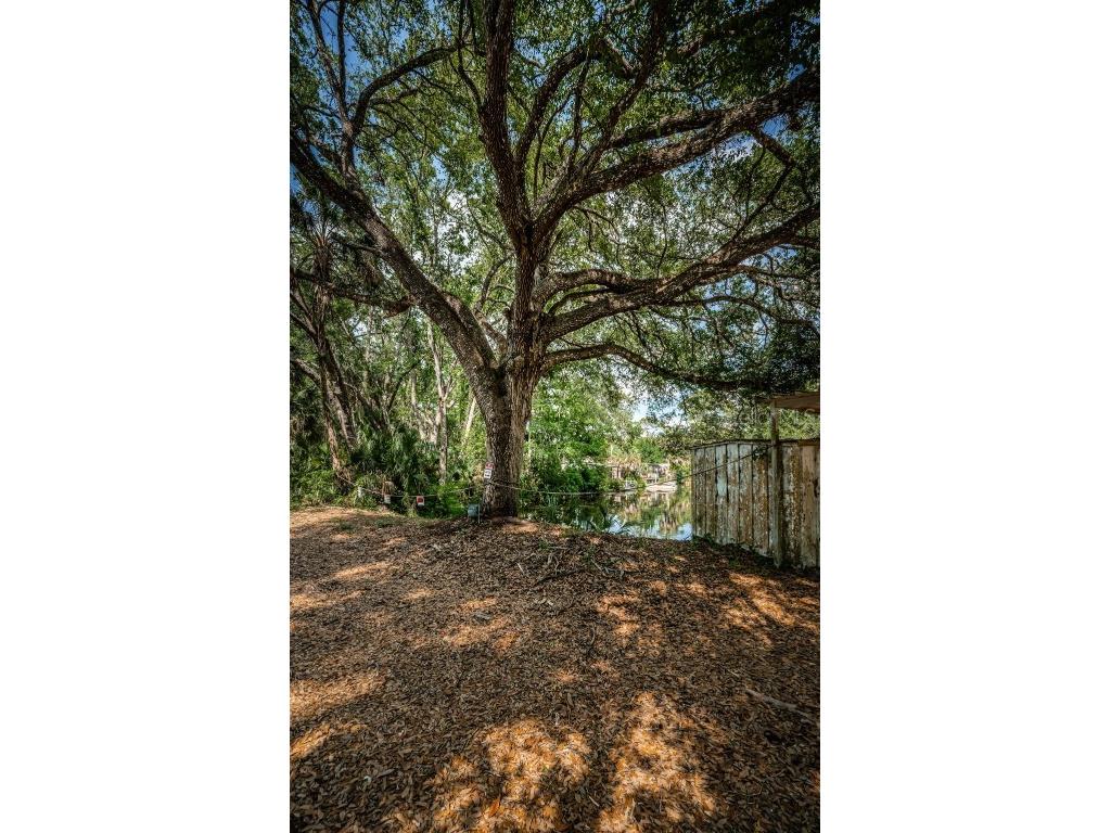 6423 Bass Road Weeki Wachee FL 34607 TB8379385 image39