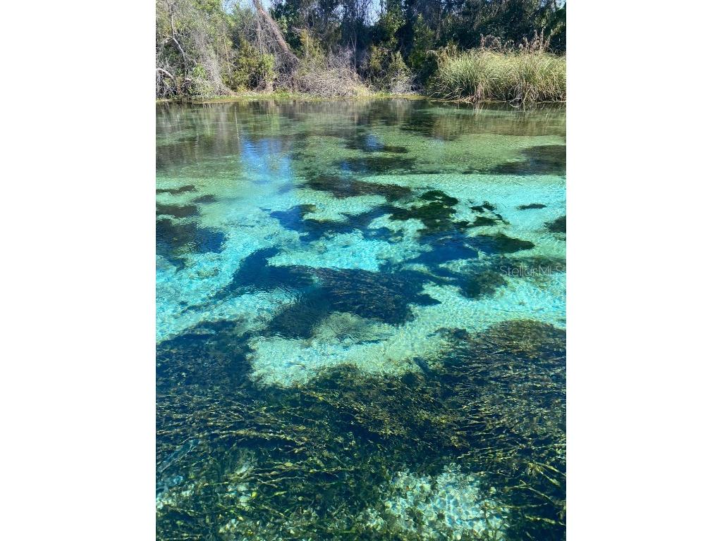 6423 Bass Road Weeki Wachee FL 34607 TB8379385 image49