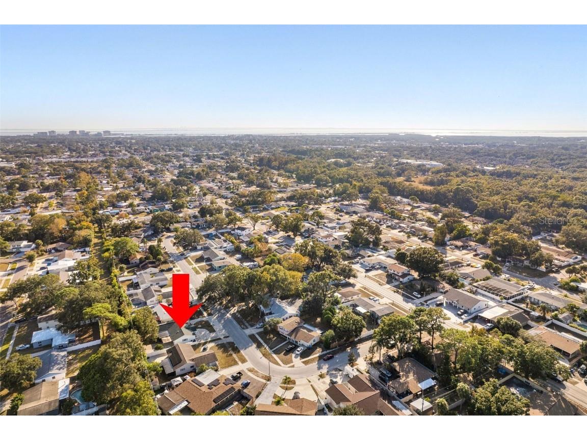 6423 Murray Hill Drive Tampa FL 33615 TB8450880 image31