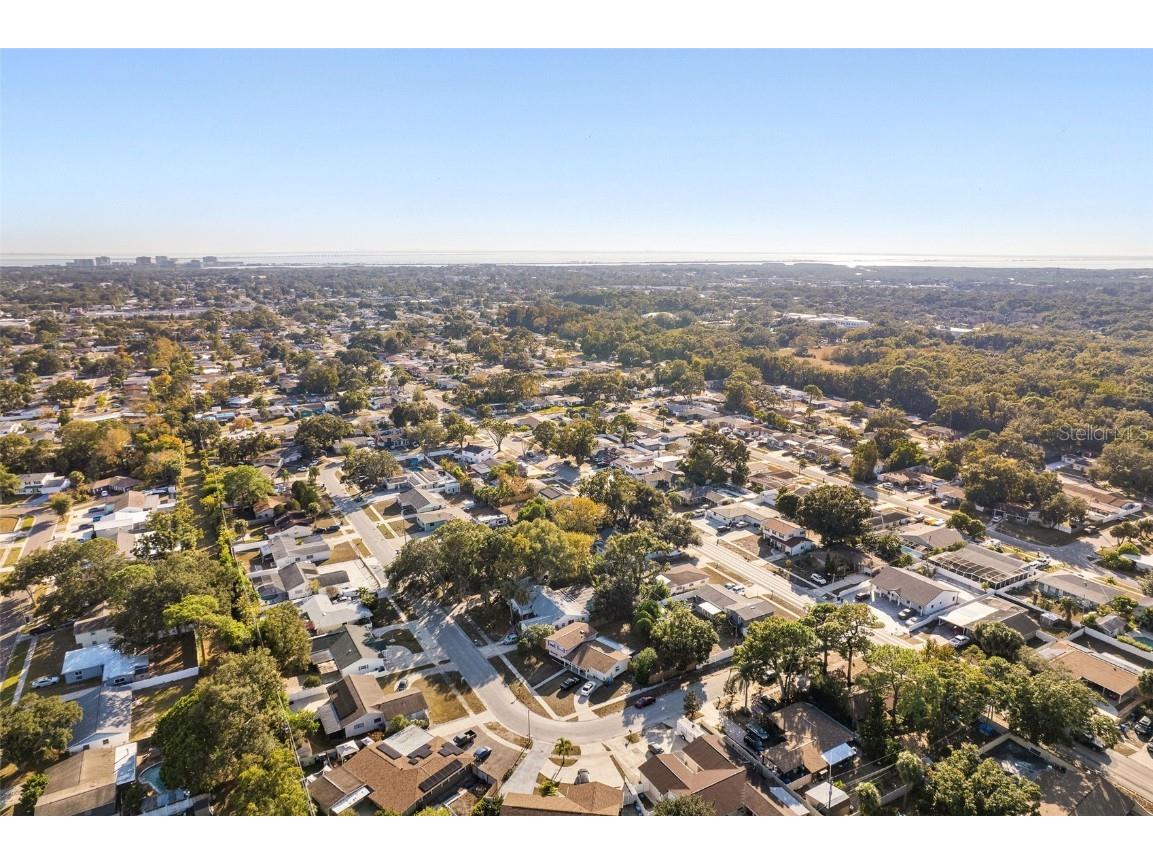 6423 Murray Hill Drive Tampa FL 33615 TB8450880 image32