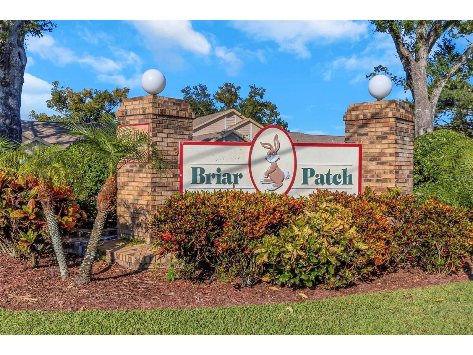 6424 Remus Drive New Port Richey FL 34653 TB8482007 image6