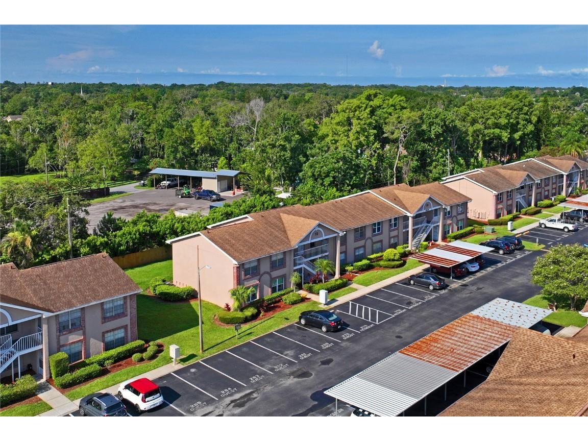 6424 Spring Flower Drive #15 New Port Richey FL 34653 W7876970 image34