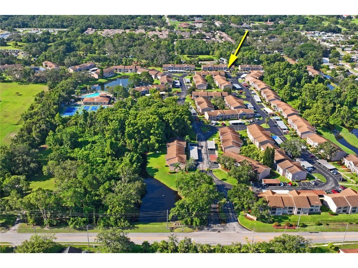 6424 Spring Flower Drive #15 New Port Richey FL 34653 W7876970 image37