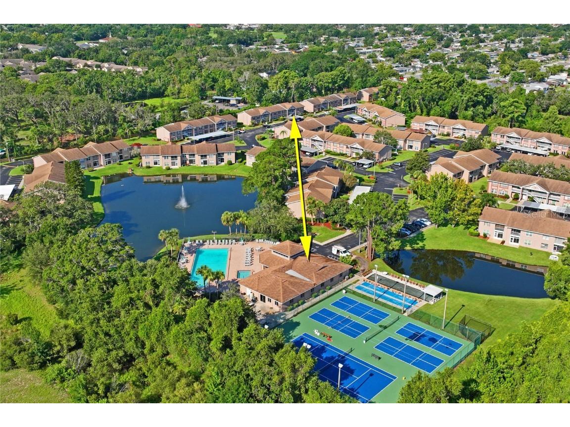 6424 Spring Flower Drive #15 New Port Richey FL 34653 W7876970 image38