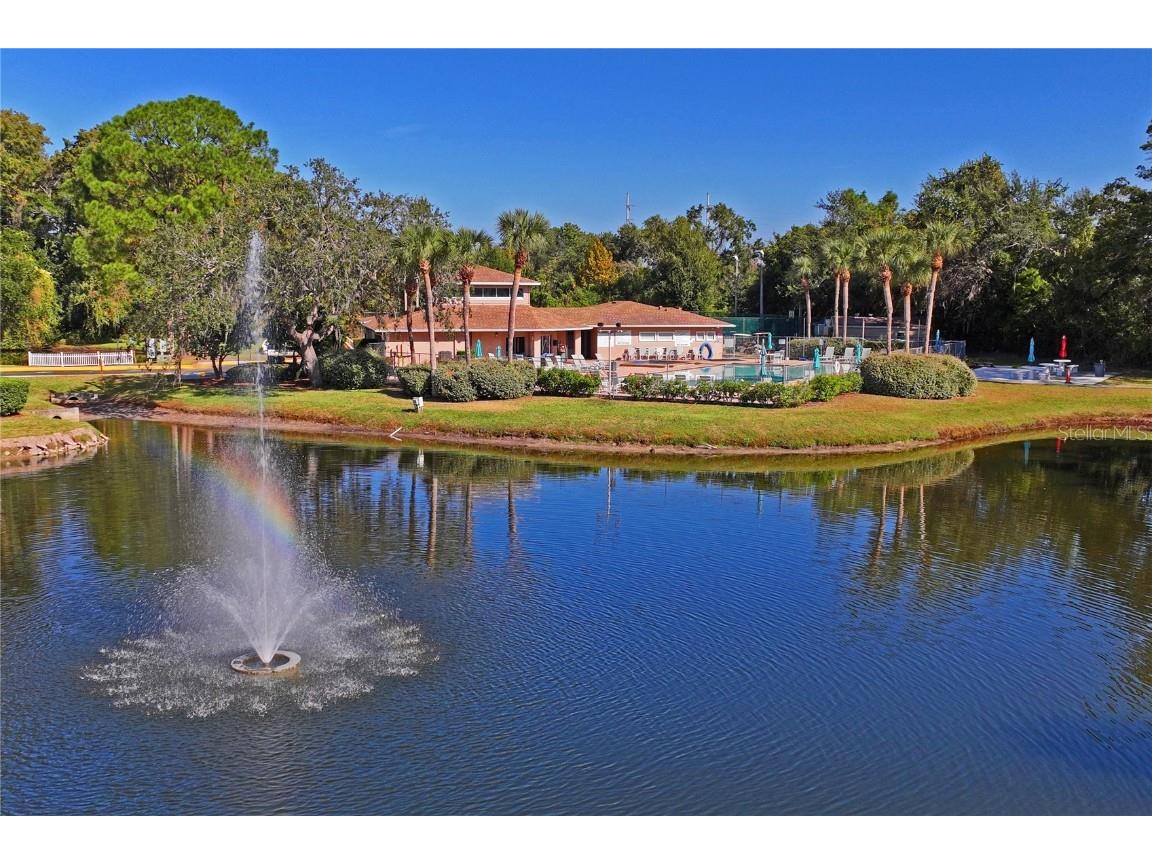 6424 Spring Flower Drive #24 New Port Richey FL 34653 W7880551 image45