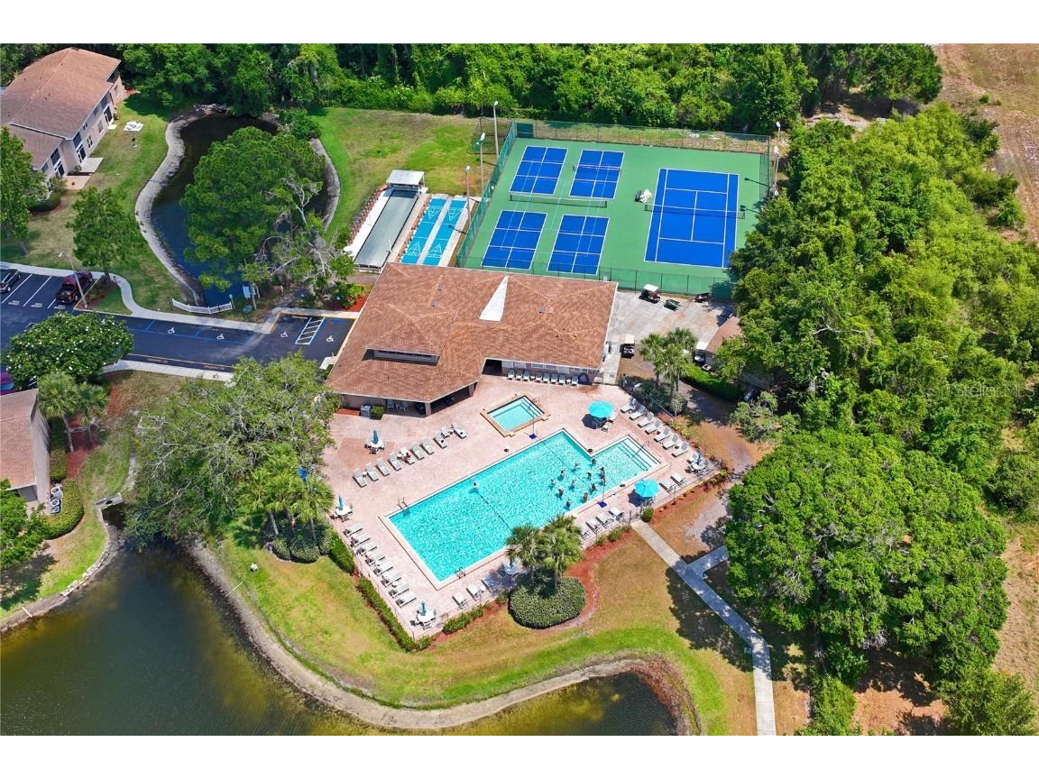 6424 Spring Flower Drive #24 New Port Richey FL 34653 W7880551 image51