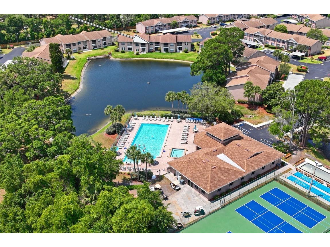 6424 Spring Flower Drive #24 New Port Richey FL 34653 W7880551 image53
