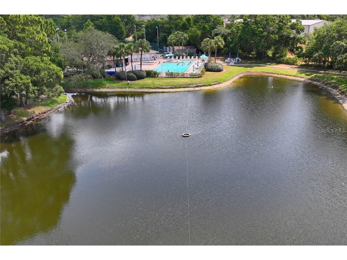6424 Spring Flower Drive #24 New Port Richey FL 34653 W7880551 image54