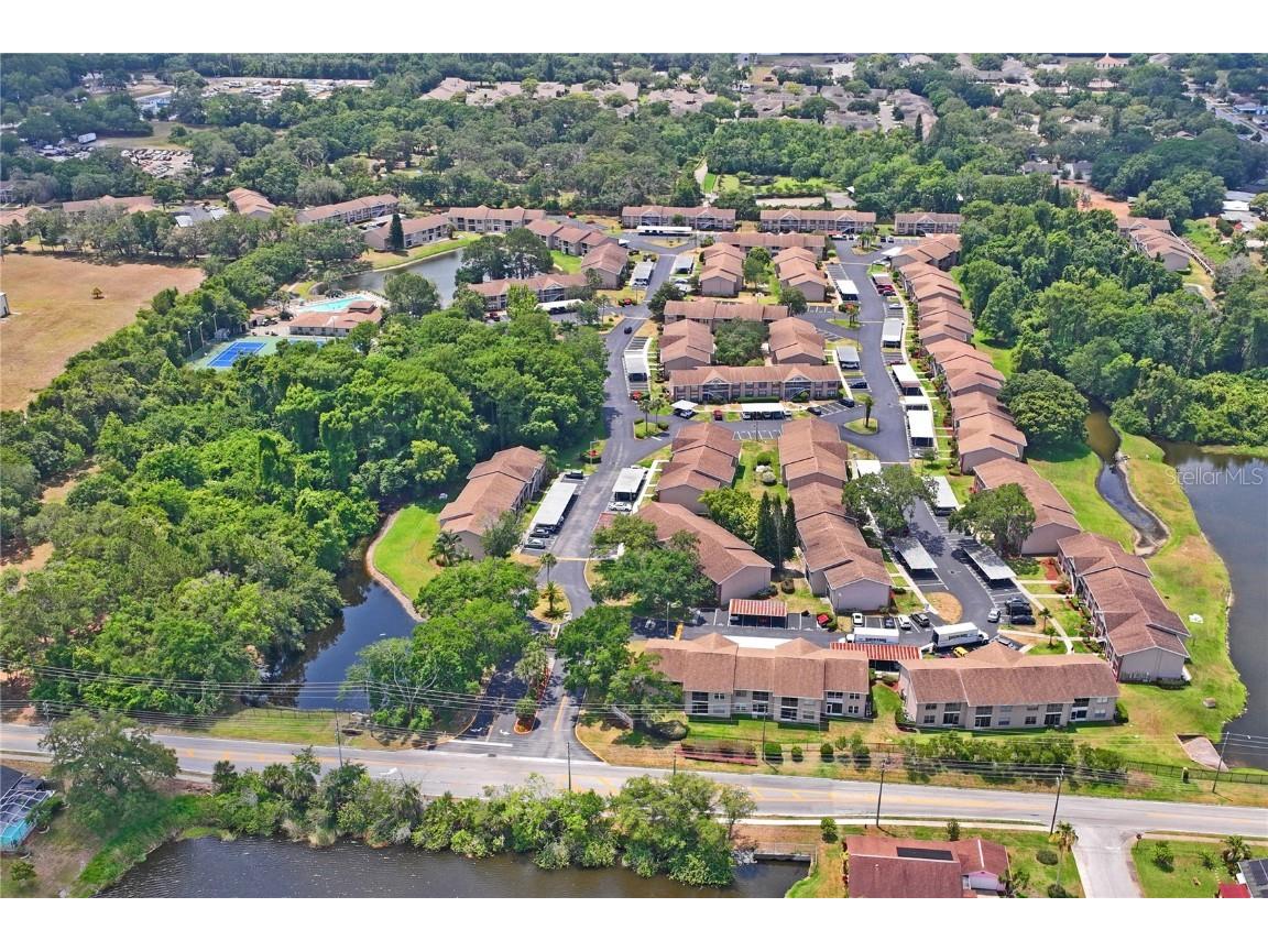 6424 Spring Flower Drive #24 New Port Richey FL 34653 W7880551 image56