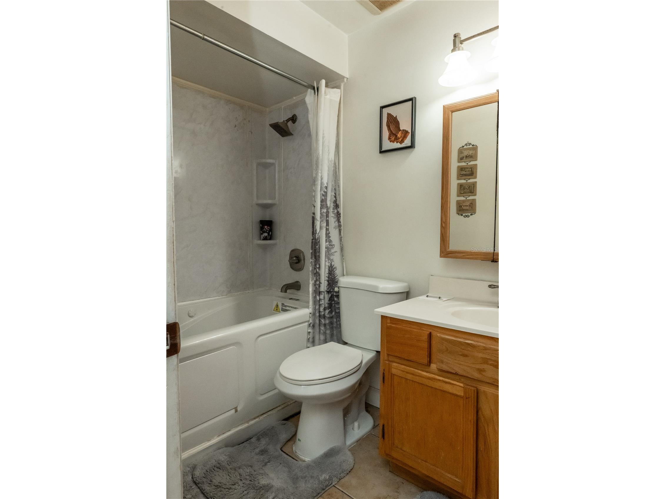 6424 Swallow Hill Drive Orlando FL 32818 O6411530 image17