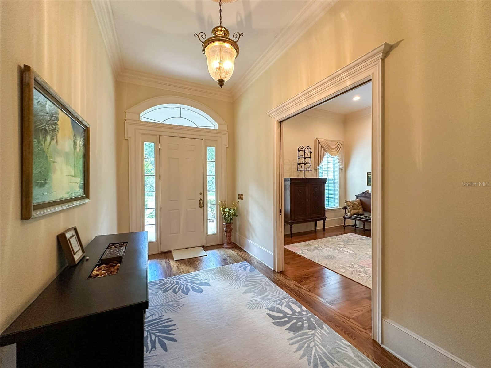 6425 NW 202nd Place Micanopy FL 32667 OM722311 image4