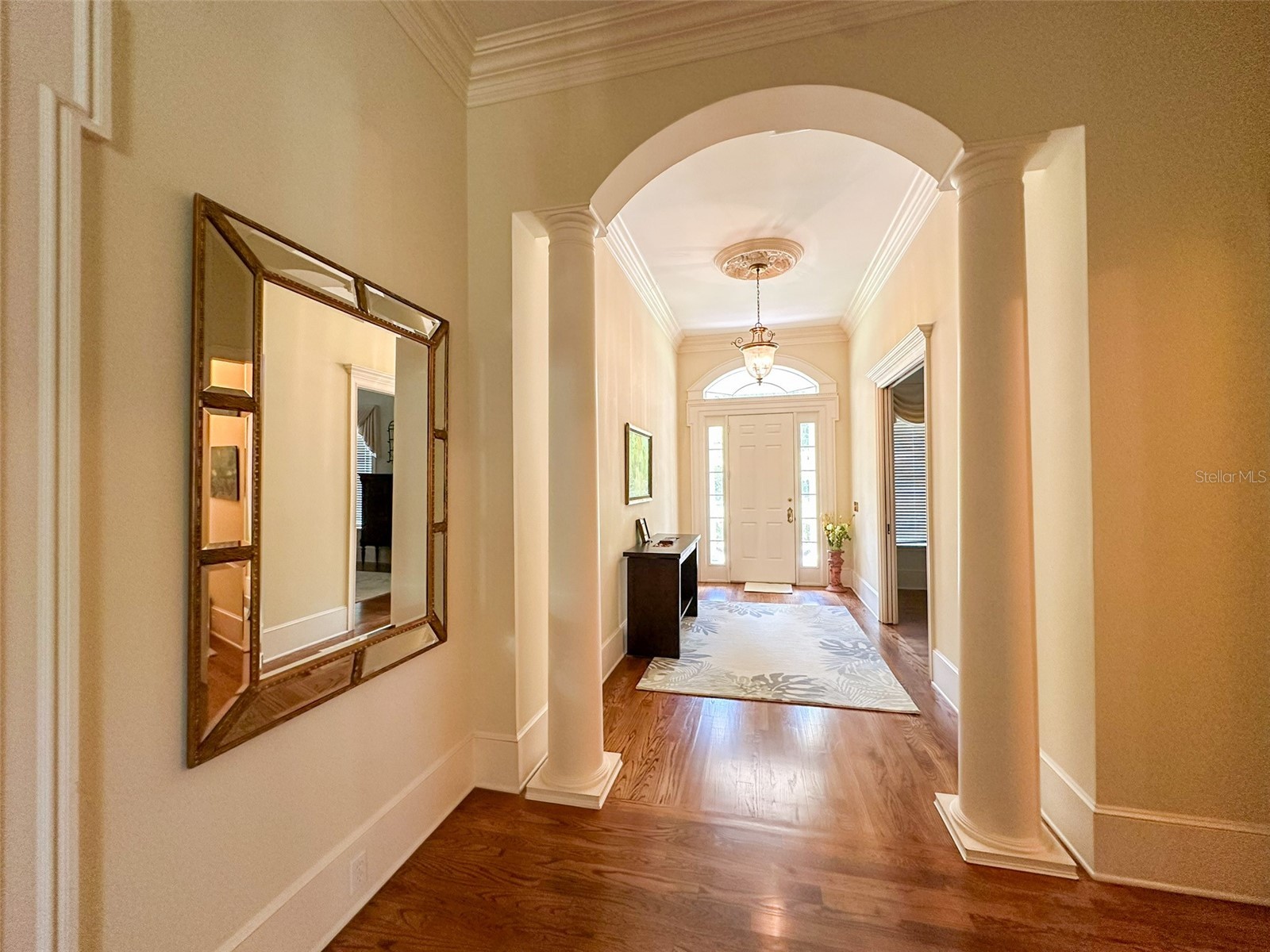 6425 NW 202nd Place Micanopy FL 32667 OM722311 image60
