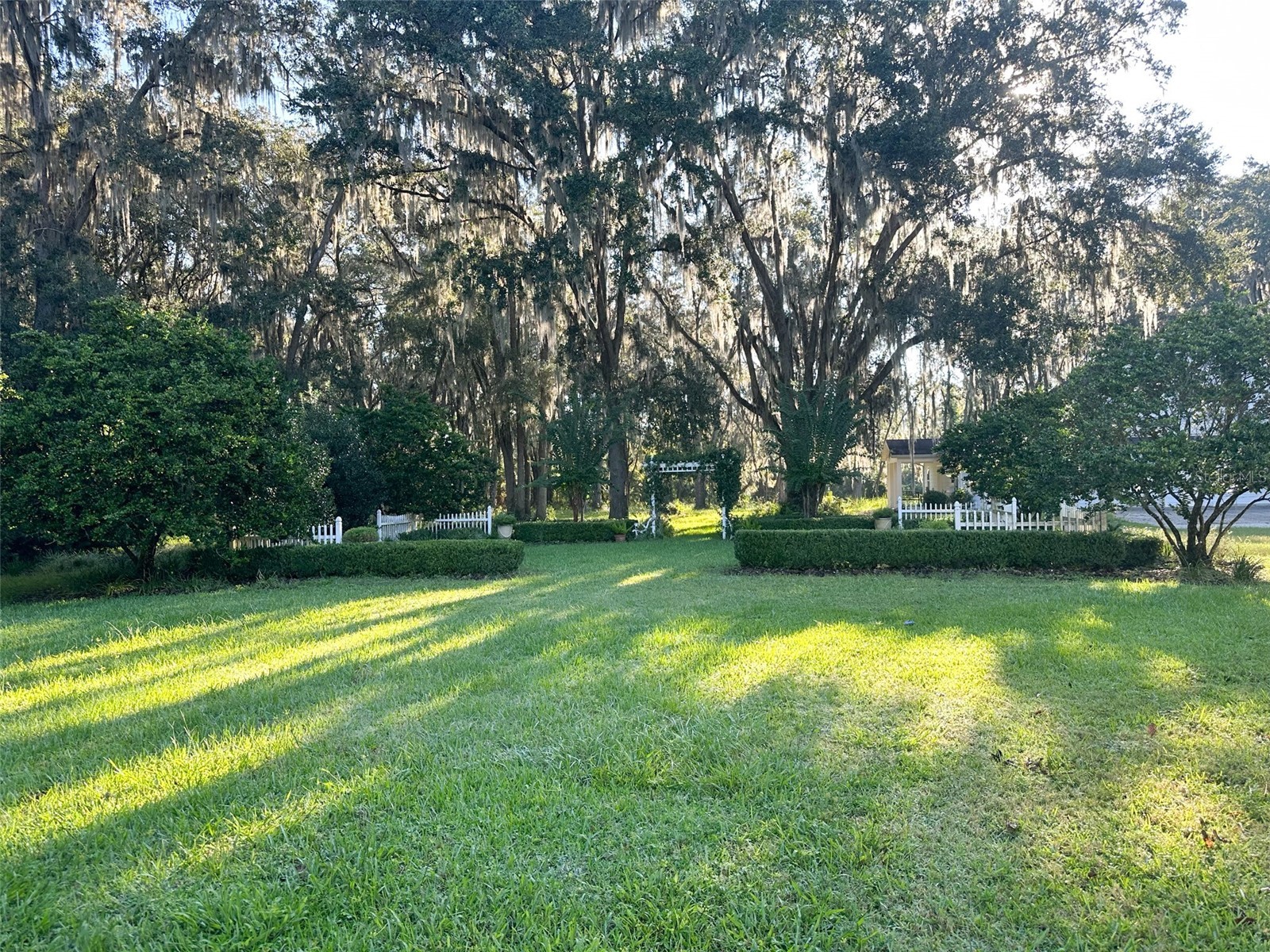 6425 NW 202nd Place Micanopy FL 32667 OM722311 image66