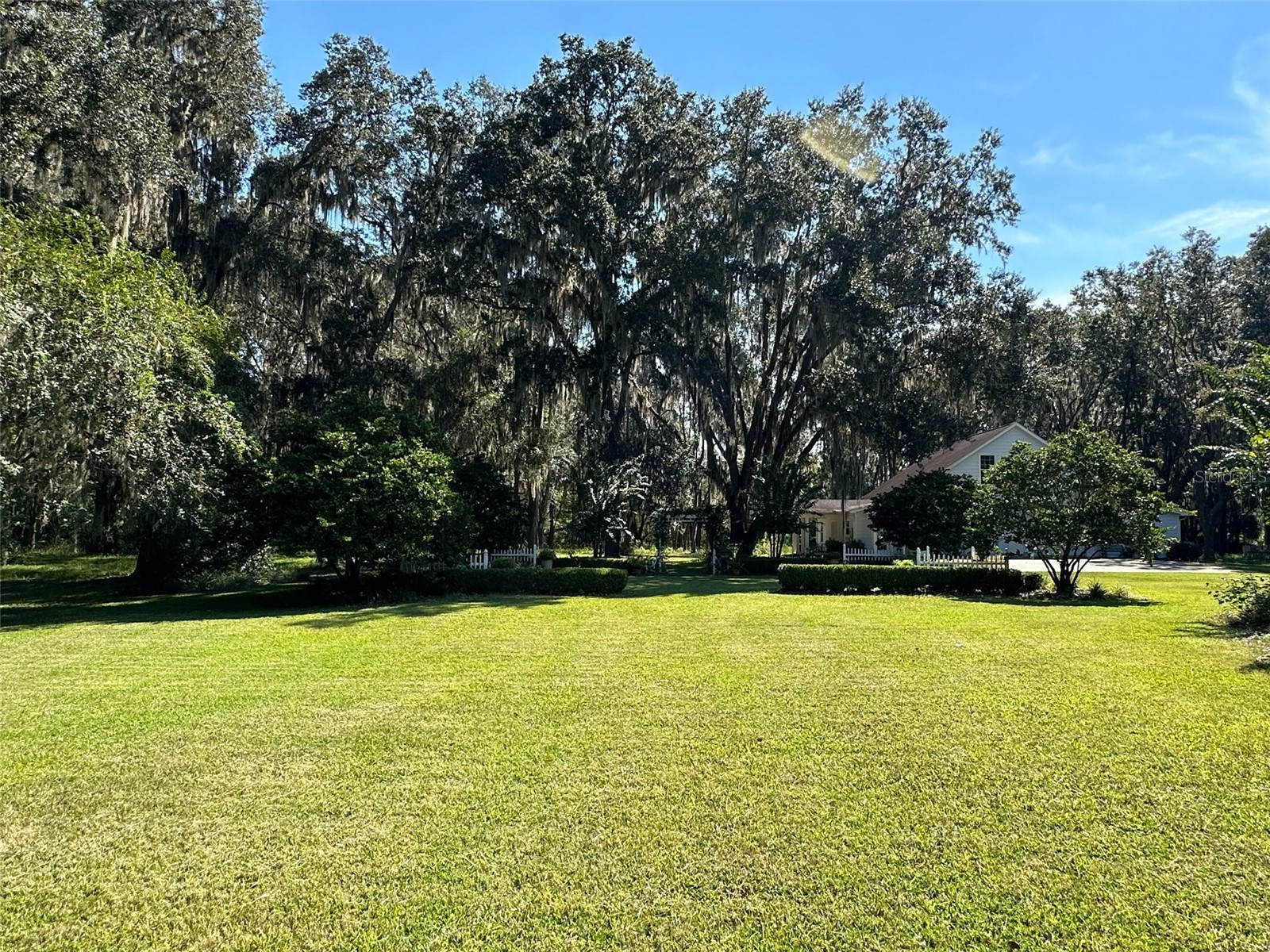 6425 NW 202nd Place Micanopy FL 32667 OM722311 image74