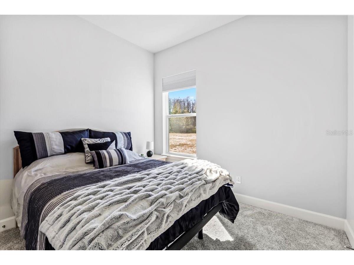 6425 Saguaro Court Port Orange FL 32128 V4947368 image22