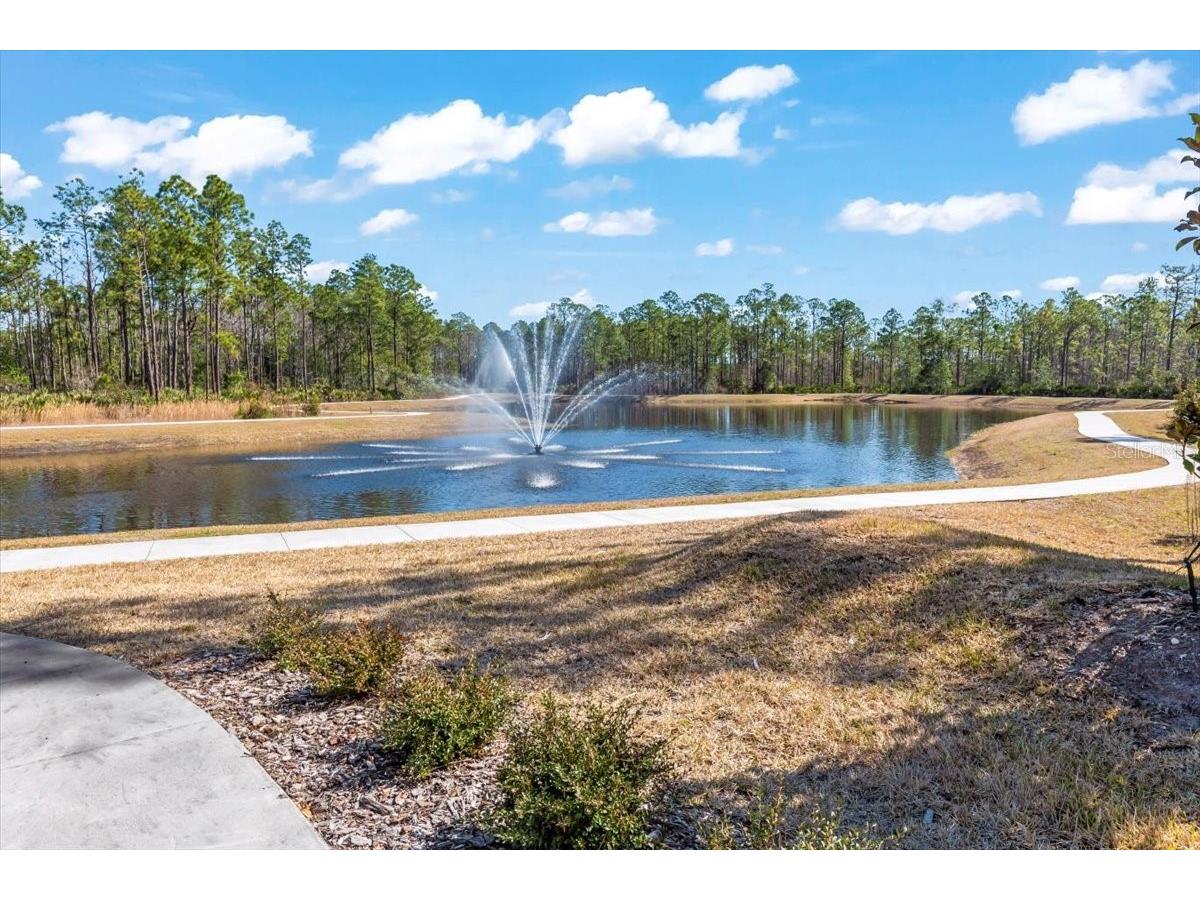 6425 Saguaro Court Port Orange FL 32128 V4947368 image50