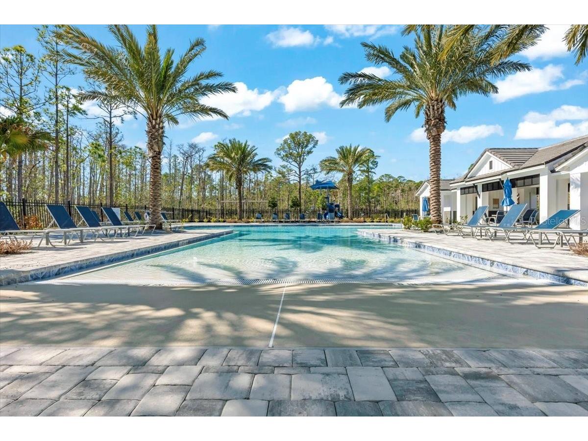 6425 Saguaro Court Port Orange FL 32128 V4947368 image61
