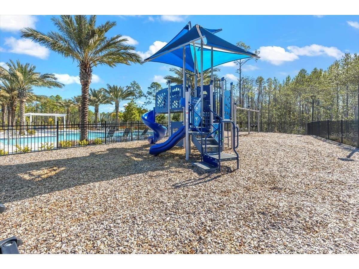 6425 Saguaro Court Port Orange FL 32128 V4947368 image62