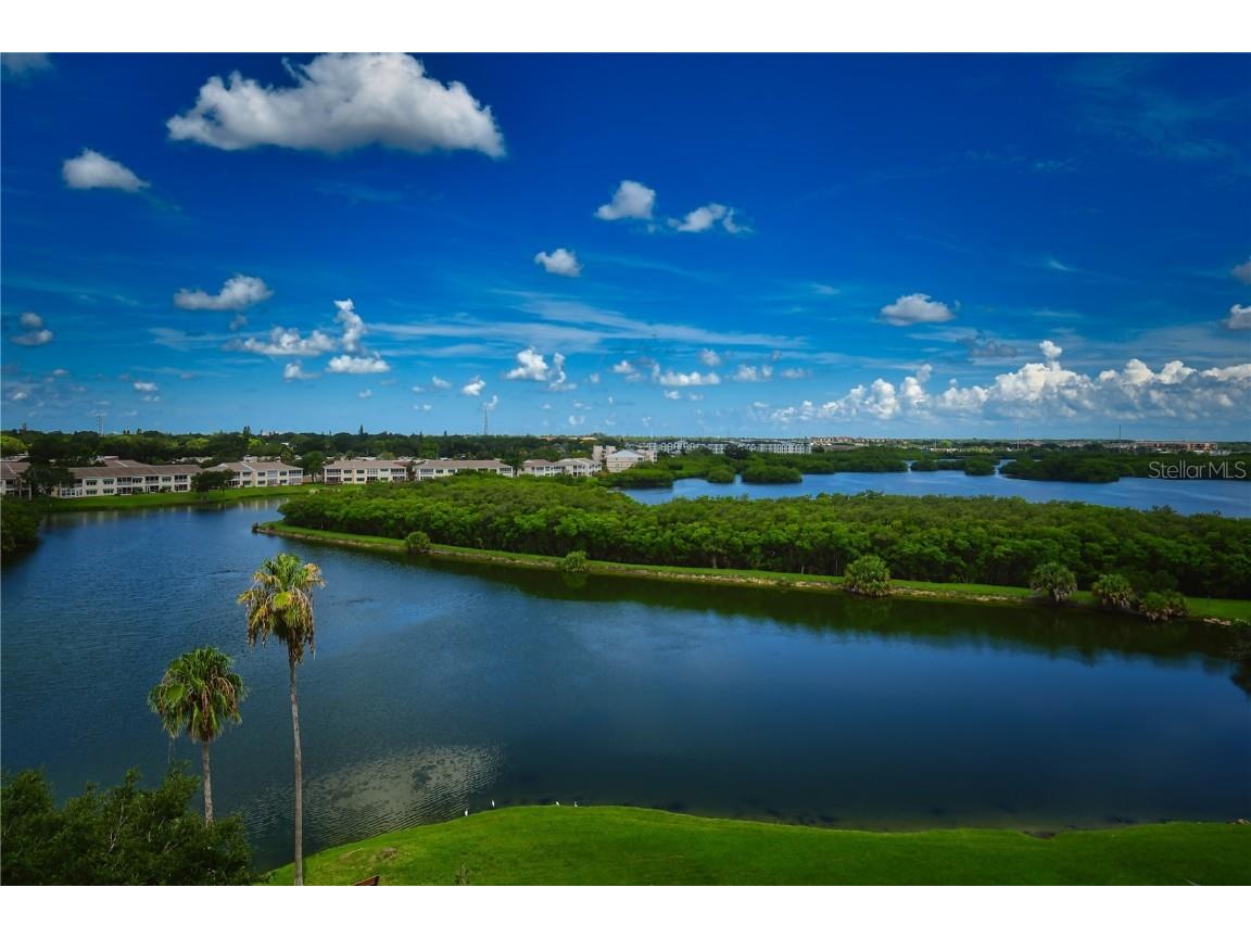 6425 Shoreline Drive #10105 Saint Petersburg FL 33708 TB8446136 image53