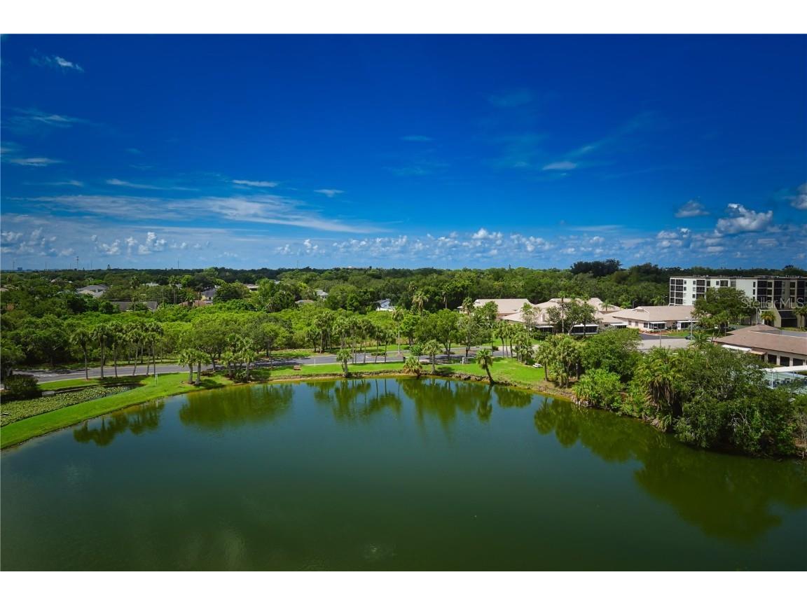 6425 Shoreline Drive #10105 Saint Petersburg FL 33708 TB8446136 image59