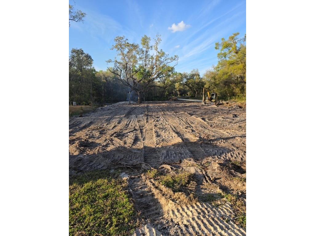 6425 Yam Street Webster FL 33597 TB8375072 image2