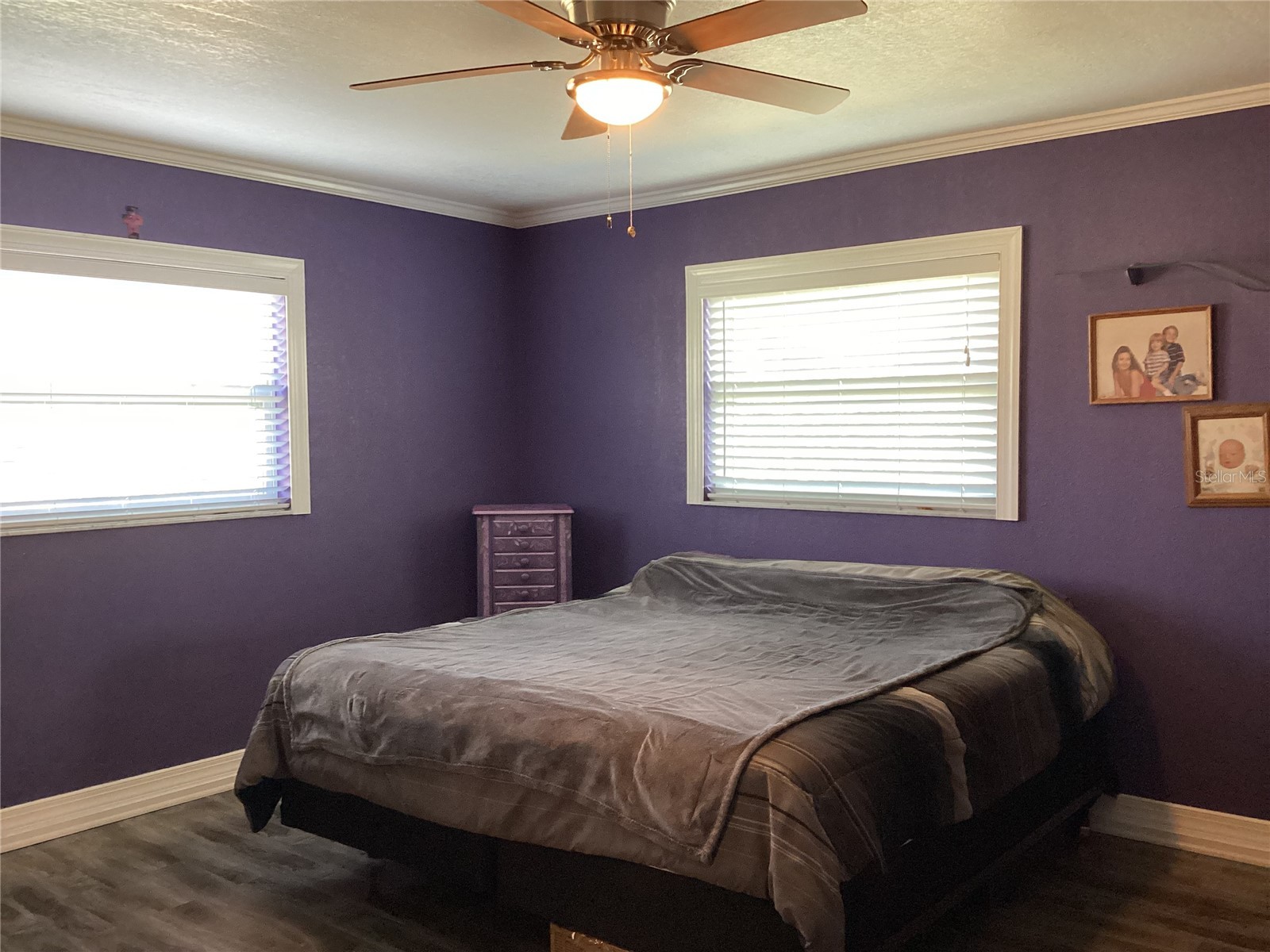 6426 Drake Court New Port Richey FL 34652 W7883067 image64