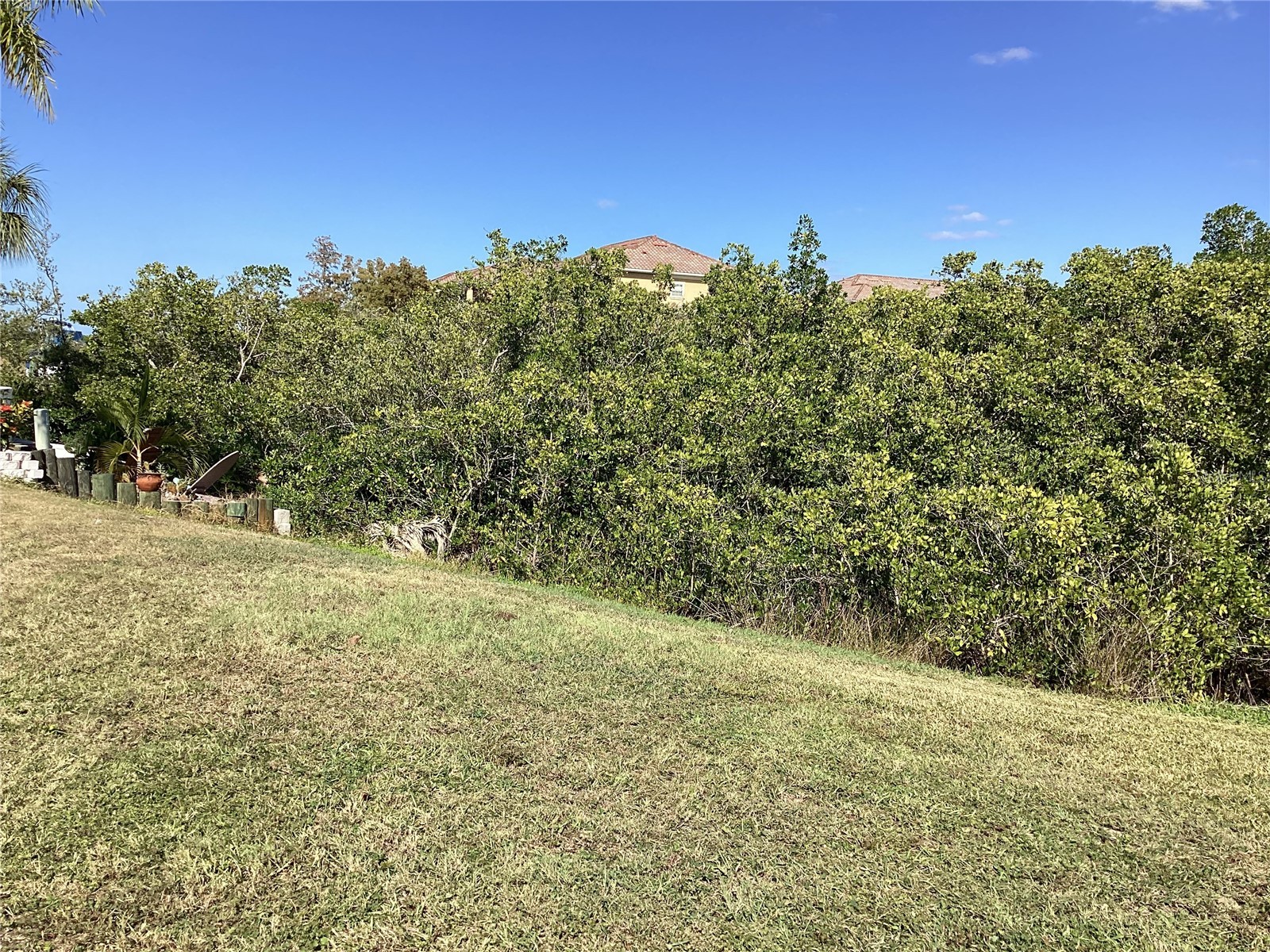 6426 Drake Court New Port Richey FL 34652 W7883067 image9