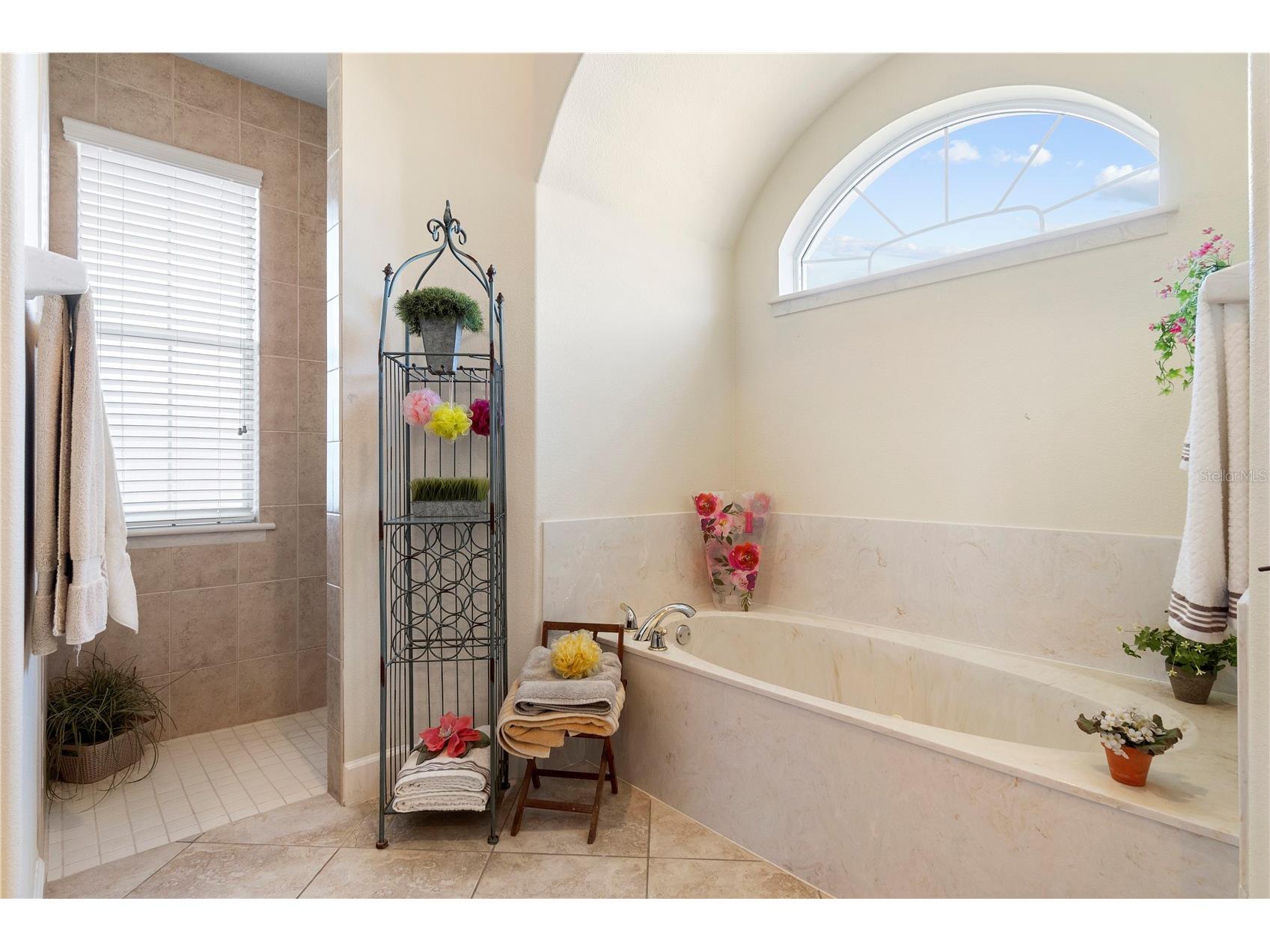 6426 SE 10th Street Ocala FL 34472 OM724463 image30