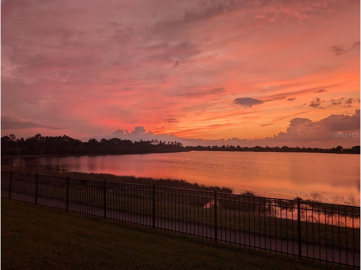 6426 Tideline Drive Apollo Beach FL 33572 TB8474023 image10