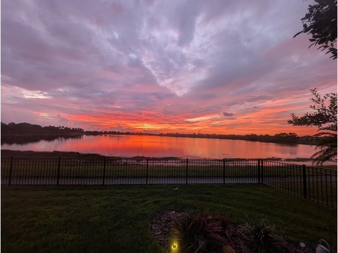 6426 Tideline Drive Apollo Beach FL 33572 TB8474023 image11