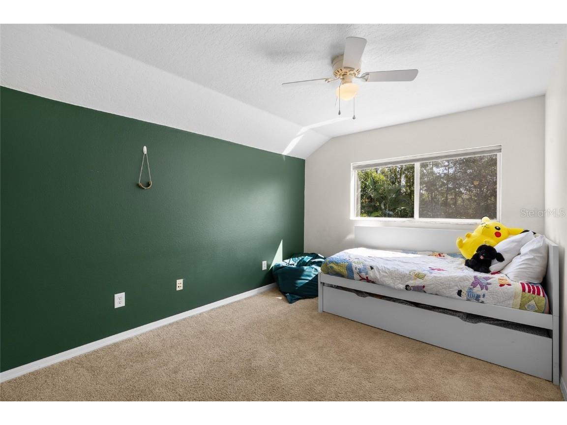 6427 Bridgecrest Drive Lithia FL 33547 TB8454386 image37