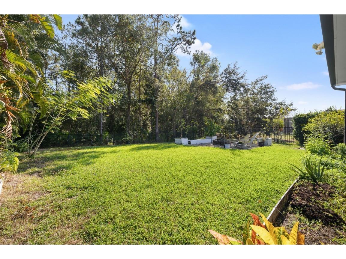 6427 Bridgecrest Drive Lithia FL 33547 TB8454386 image44