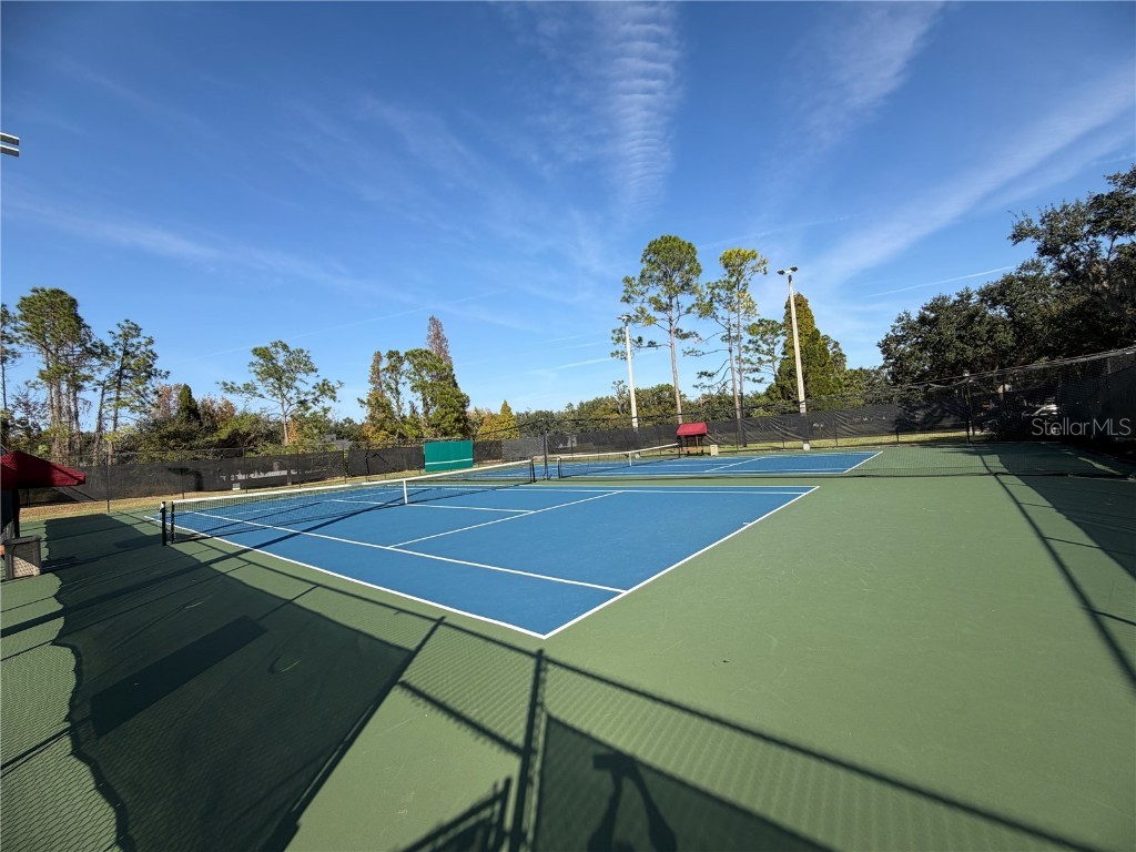 6427 Bridgecrest Drive Lithia FL 33547 TB8454386 image58